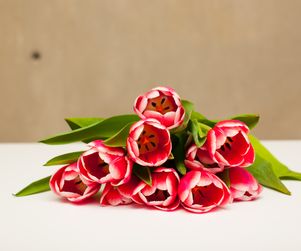 Gutschein Über 500 Euro